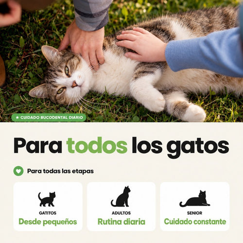 Disane DentalCare | Elimina el sarro y cuida los dientes de tu Gato