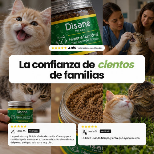 Disane DentalCare | Elimina el sarro y cuida los dientes de tu Gato