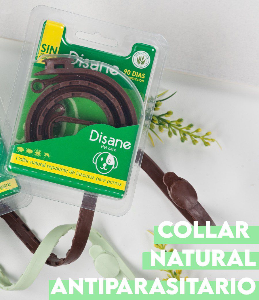 Collar_disane