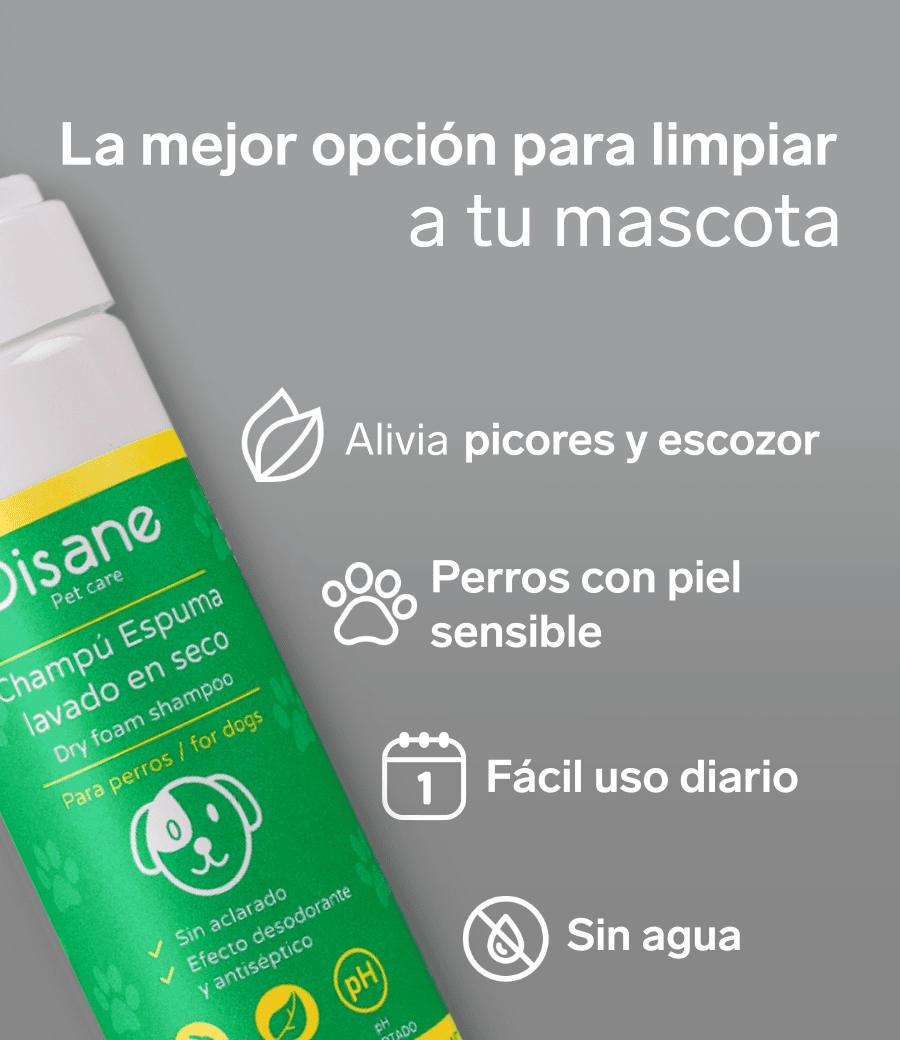 Champu en seco para perros sin agua