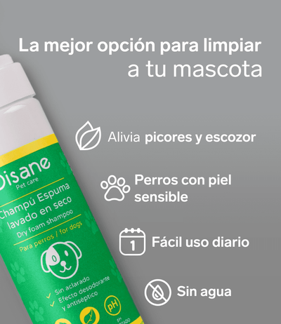 Champu en seco para perros sin agua