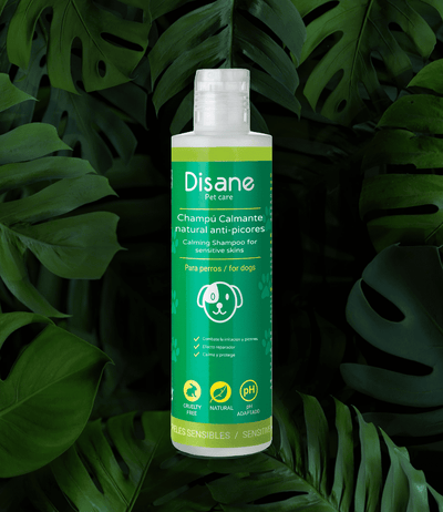 Champú Calmante natural Anti-Picores - Disane pet care