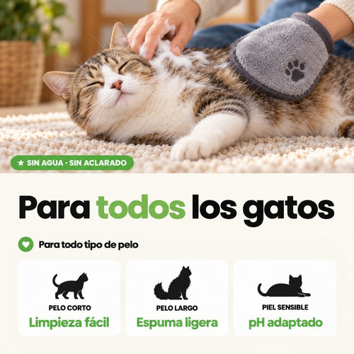 Champú Seco en Espuma para Gatos | Limpieza sin agua 200ML