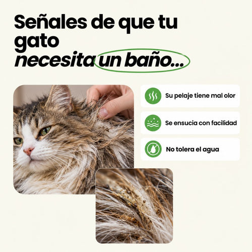 Champú Seco en Espuma para Gatos | Limpieza sin agua 200ML