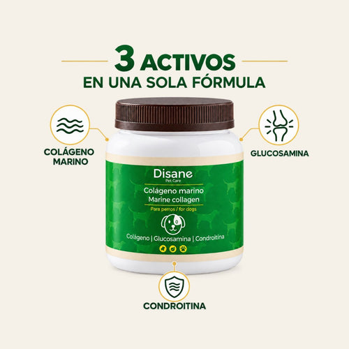 Condroprotector con colágeno marino para perros · 180 g