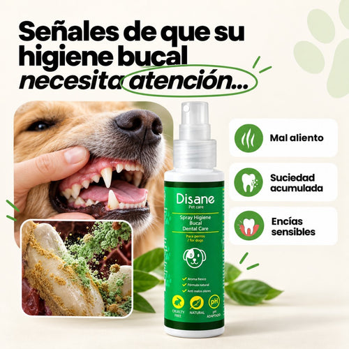 Mal aliento perro | Spray higiene dental