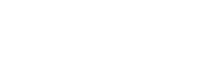 Disane pet care