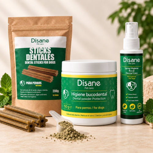 Disane DentalCare 360º | Polvo + Spray + Sticks Dentales.