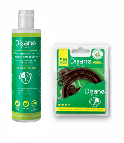 Champú natural + collar antiparasitario - Disane pet care