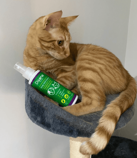 Spray anti estrés natural para perros y gatos - Disane pet care
