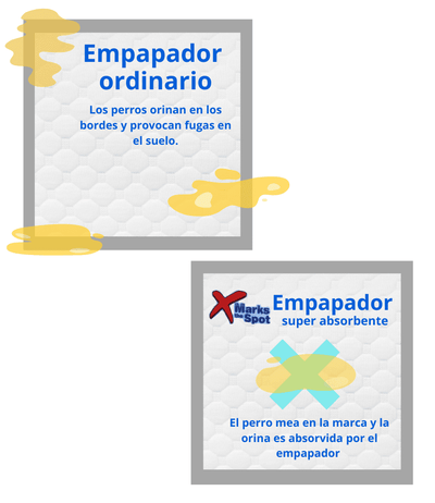 Empapadores súper absorbentes para perros