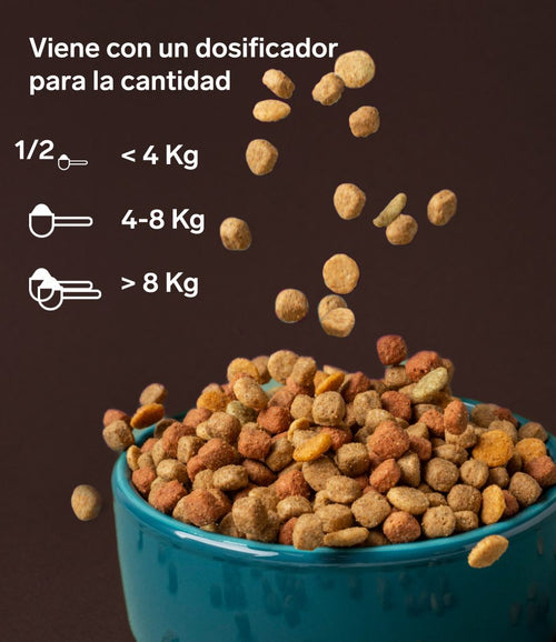 Higiene bucodental para gatos