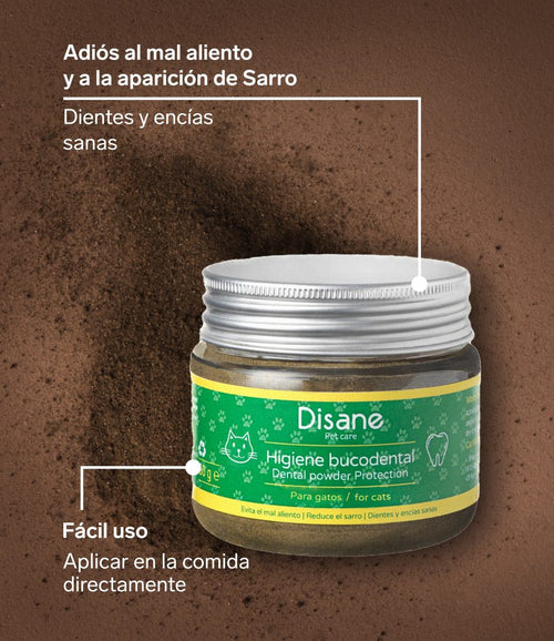 Higiene bucodental para gatos