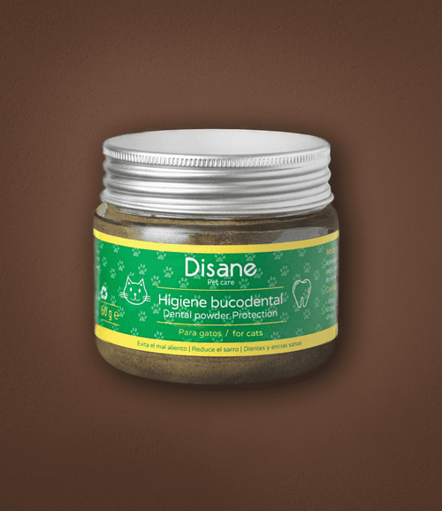 Higiene bucodental para gatos