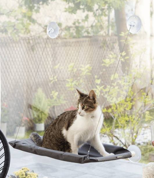 Hamaca colgante para gatos