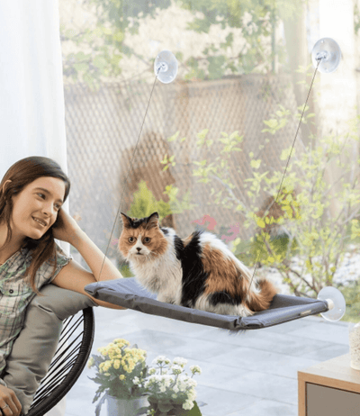 Hamaca colgante para gatos