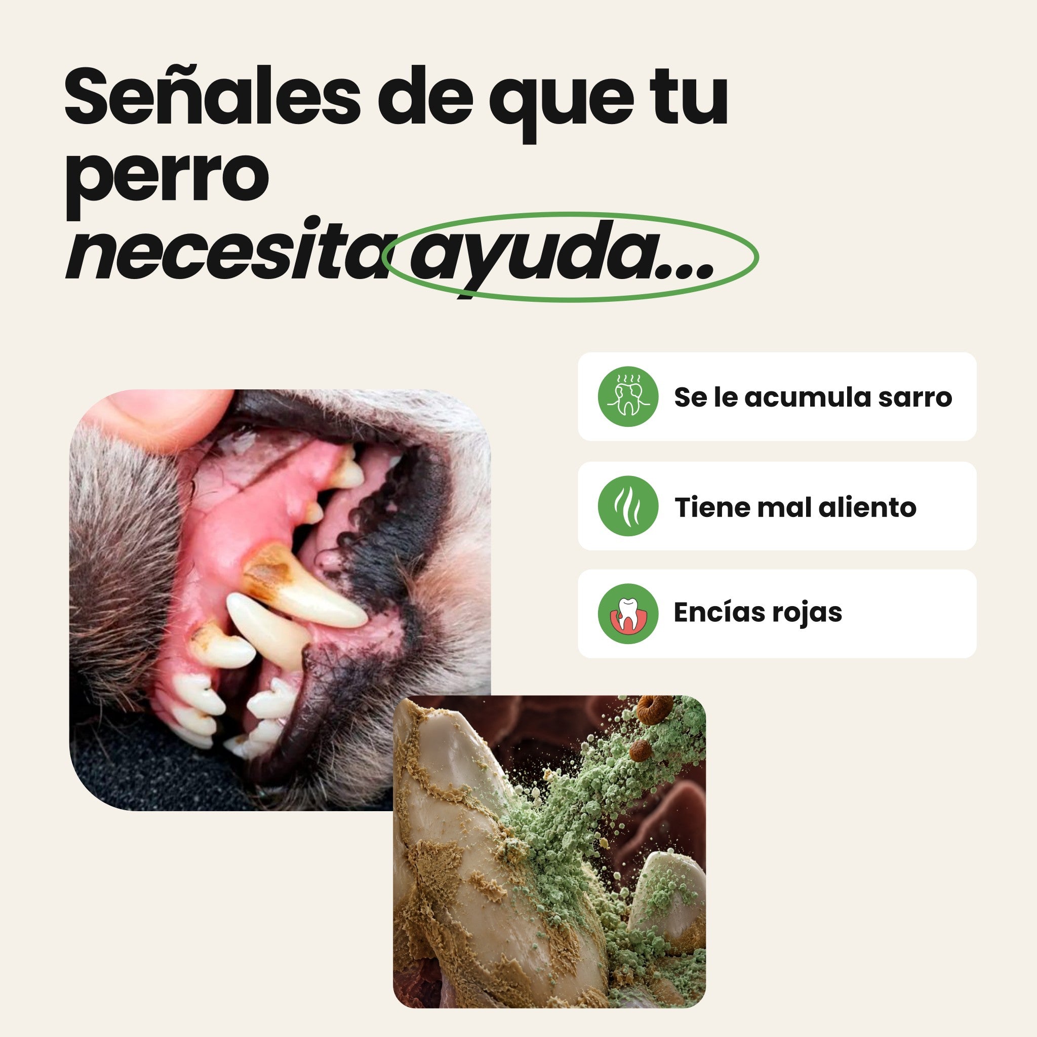 Higiene bucodental para perros