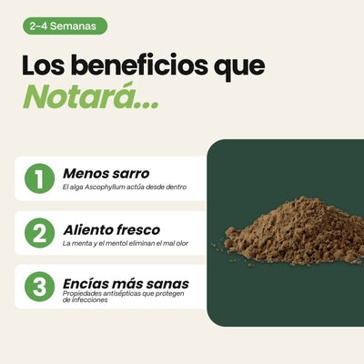 Higiene bucodental para perros | Suscríbete y ahorra - Disane pet care