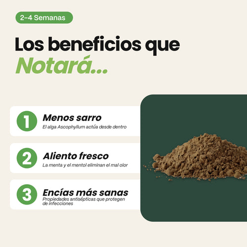 Higiene bucodental para perros