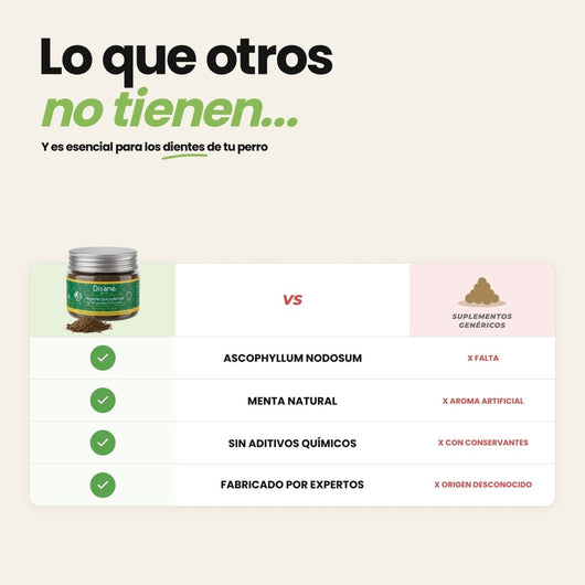 Higiene bucodental para perros | Suscríbete y ahorra - Disane pet care