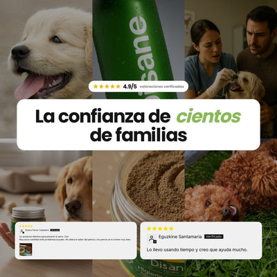 Higiene bucodental para perros | Suscríbete y ahorra - Disane pet care