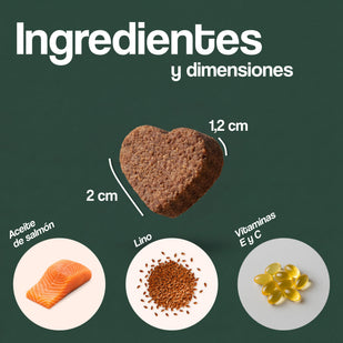 Combate la inflamación desde dentro