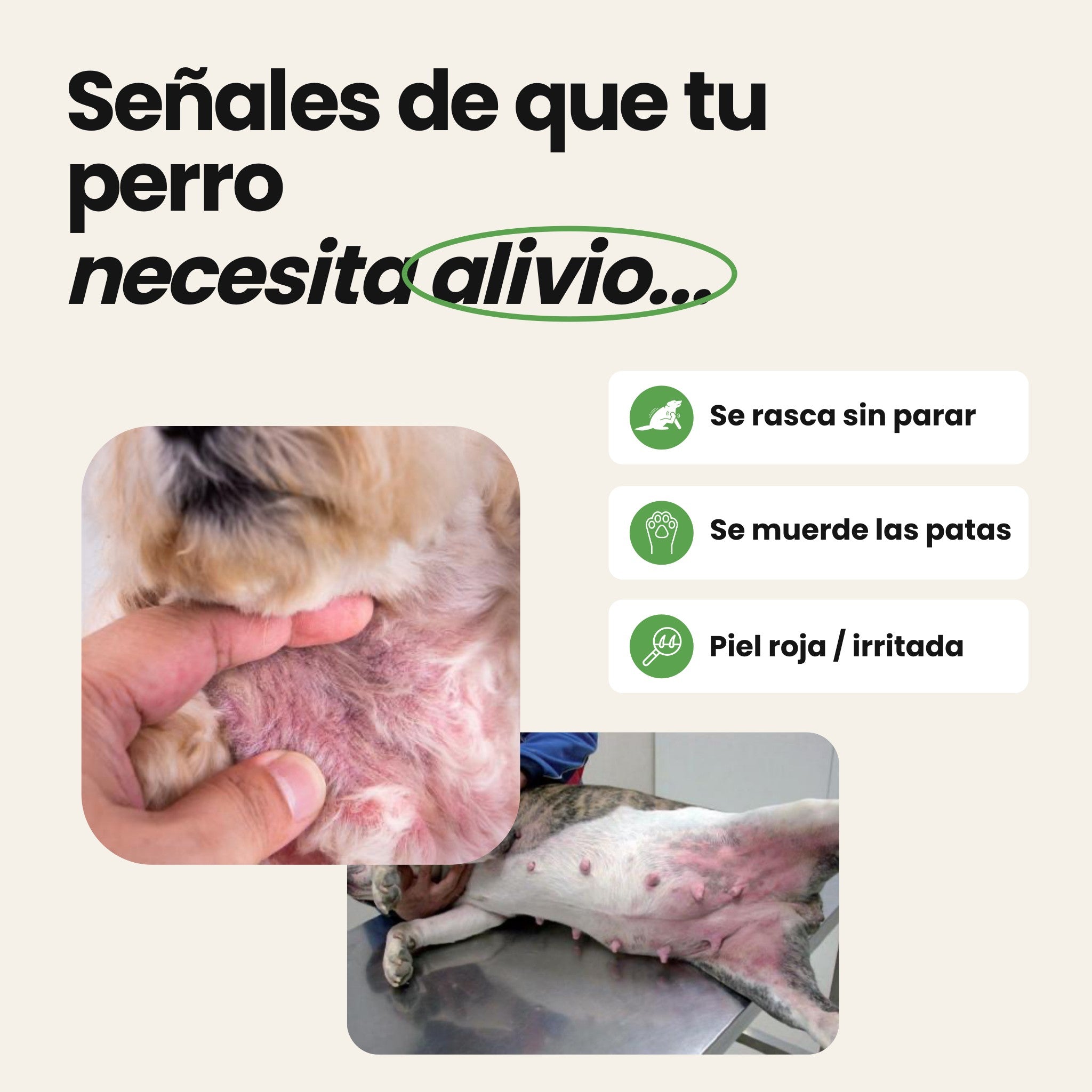 Spray Calmante Antipicores para Perros — Alivio inmediato del picor, irritación y rascado | 150 ml