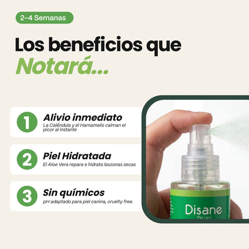 Spray Calmante Antipicores para Perros — Alivio inmediato del picor, irritación y rascado | 150 ml