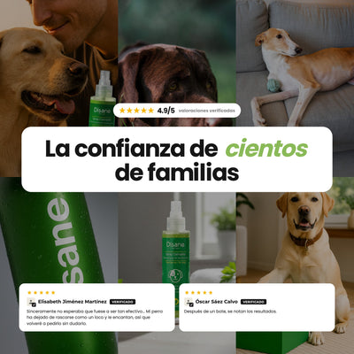Spray Calmante Antipicores para Perros — Alivio inmediato del picor, irritación y rascado | 150 ml