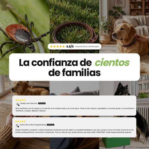 Collar antiparasitario para perros