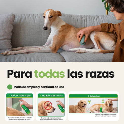 Spray Calmante Antipicores para Perros — Alivio inmediato del picor, irritación y rascado | 150 ml