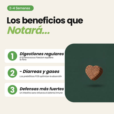 Probióticos para Perros - Suplemento Natural de 60 Unidades | Disane Pet Care