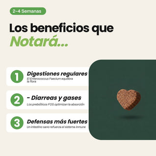 Probióticos y prebióticos para perros · 60 snacks