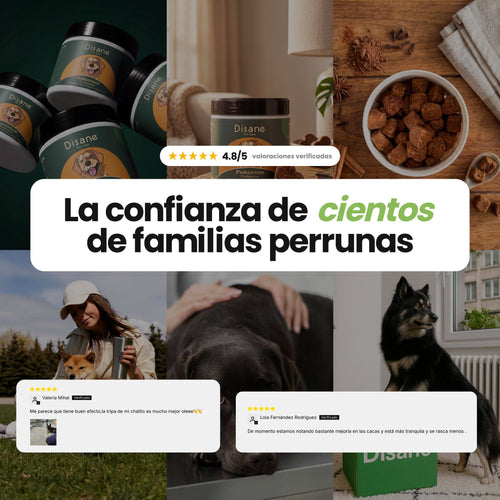 Probióticos para Perros - Suplemento Natural de 60 Unidades | Disane Pet Care