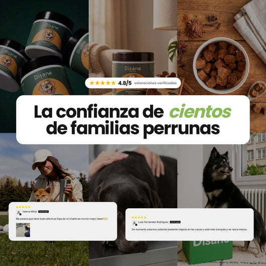 Probióticos para Perros - Suplemento Natural de 60 Unidades | Disane Pet Care