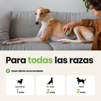 Probióticos para Perros - Suplemento Natural de 60 Unidades | Disane Pet Care