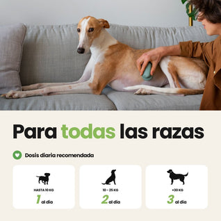 Probióticos y prebióticos para perros · 60 snacks