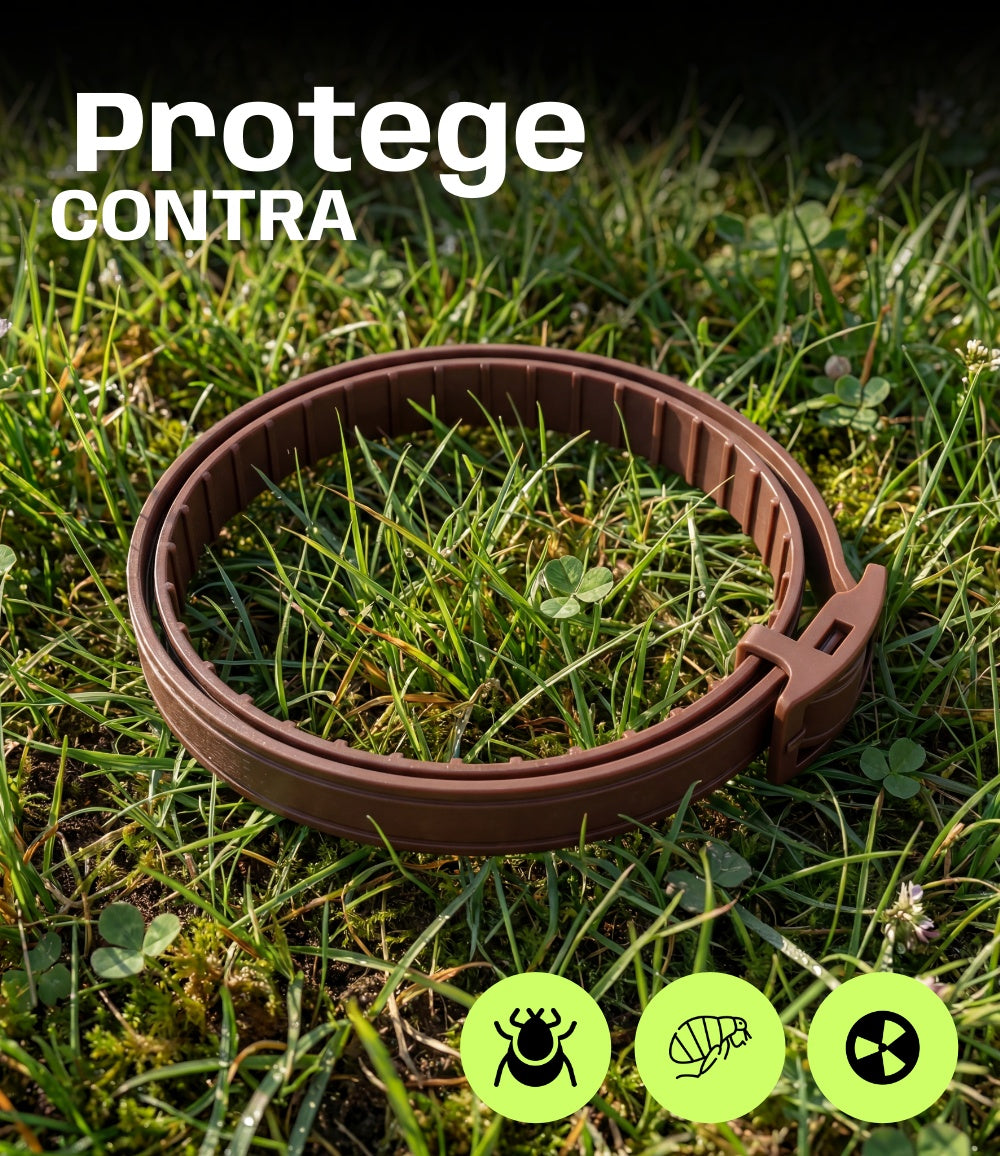 Pack 3x2 Collar Antiparasitario Natural para Perros – Protección Prolongada