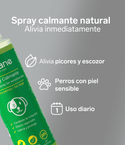 PACK ANTI PICORES PERRO - Spray Calmante + Champú piel sensible - Disane pet care