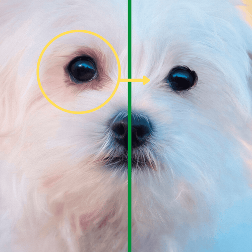 Limpiador de ojos natural para perros
