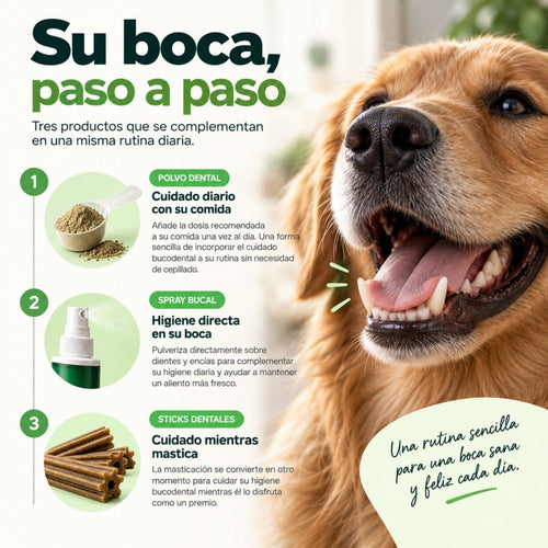 Disane DentalCare 360º | Polvo + Spray + Sticks Dentales.