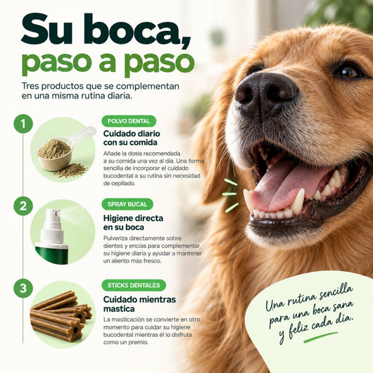 Disane DentalCare 360º | Polvo + Spray + Sticks Dentales.