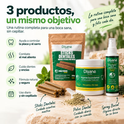 Disane DentalCare 360º | Polvo + Spray + Sticks Dentales.