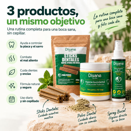 Disane DentalCare 360º | Polvo + Spray + Sticks Dentales.