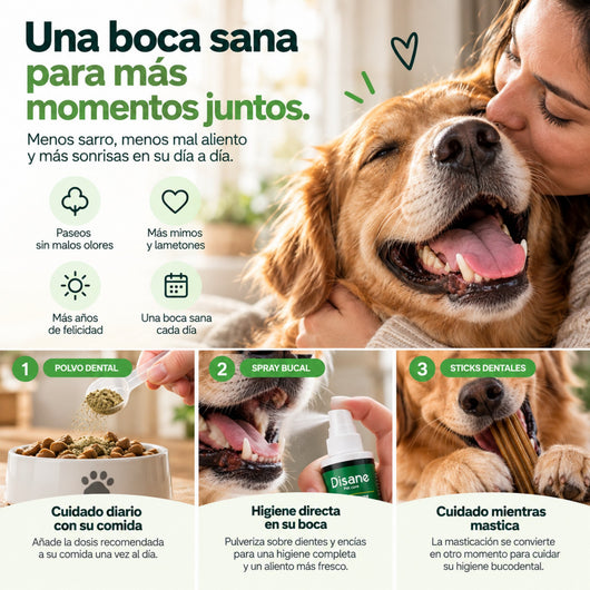 Disane DentalCare 360º | Polvo + Spray + Sticks Dentales.