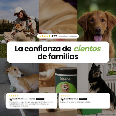 Antipicores y Pieles Sensibles para Perros - Suplemento Antipicores de 60 Unidades | Disane Pet Care - Disane pet care