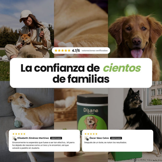 Antipicores y Pieles Sensibles para Perros - Suplemento Antipicores de 60 Unidades | Disane Pet Care - Disane pet care