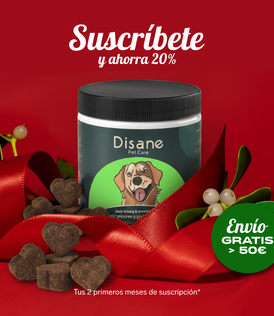 PREMIUM Antipicores y Pieles Sensibles para Perros - Suplemento Antipicores de 60 Unidades | Disane Pet Care