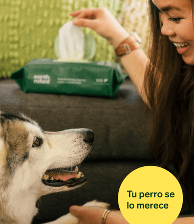 Toallitas de aseo para perros con perfume de lavanda - Disane pet care
