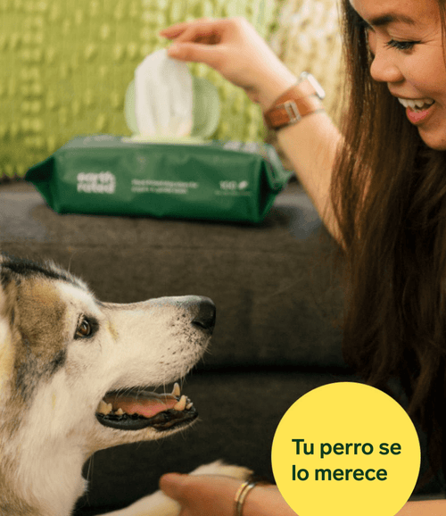 Toallitas de aseo para perros con perfume de lavanda